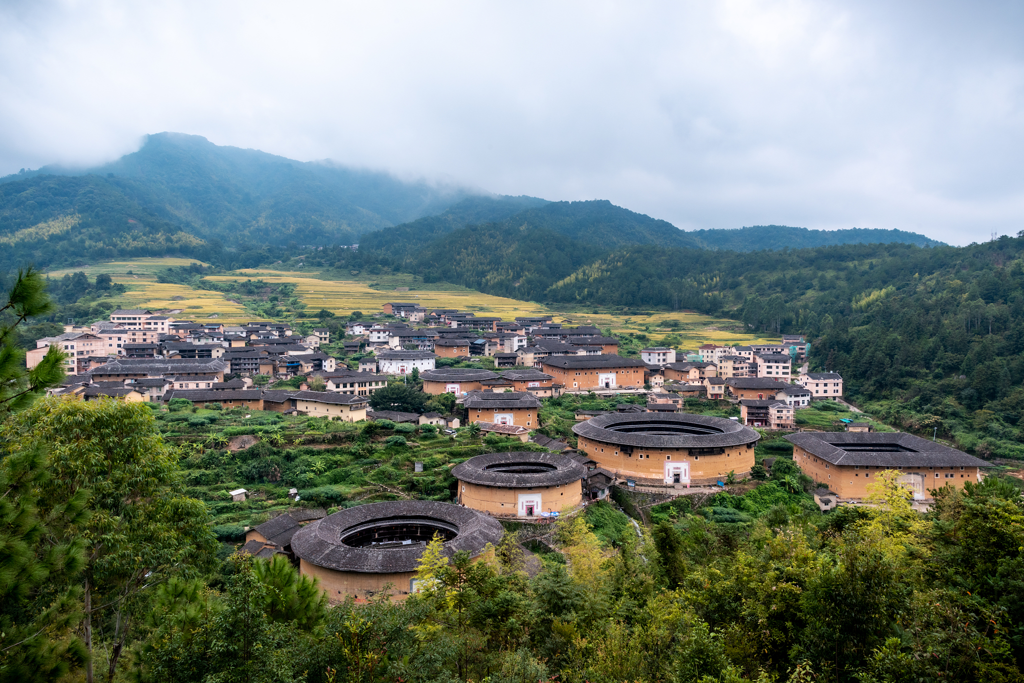 龙岩永定土楼周边,田园风光清新,傍晚散步超惬意