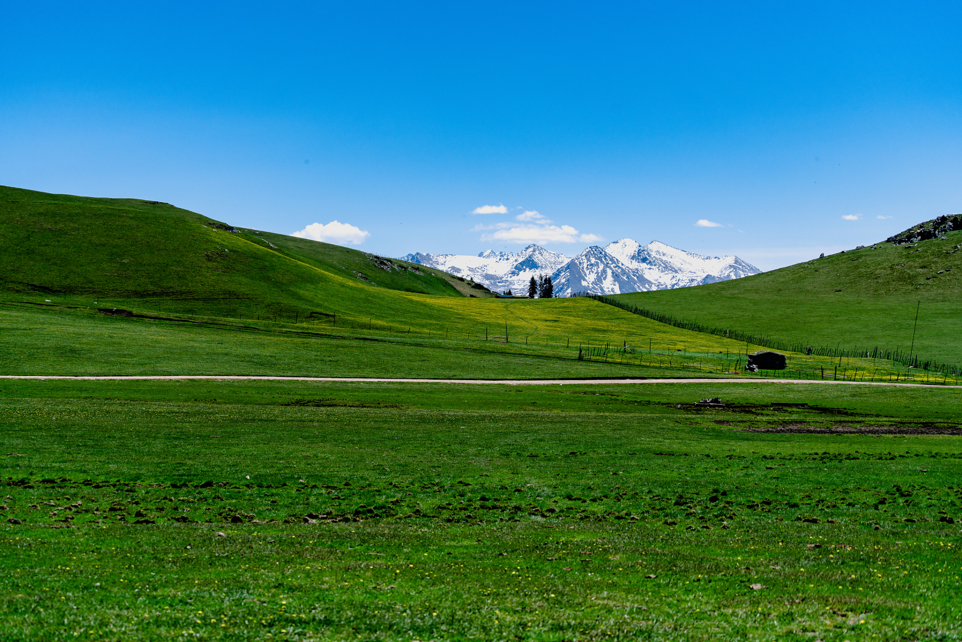 奇遇那拉提#位于新疆伊犁哈萨克自治州的那拉提空中草原,是一片被誉