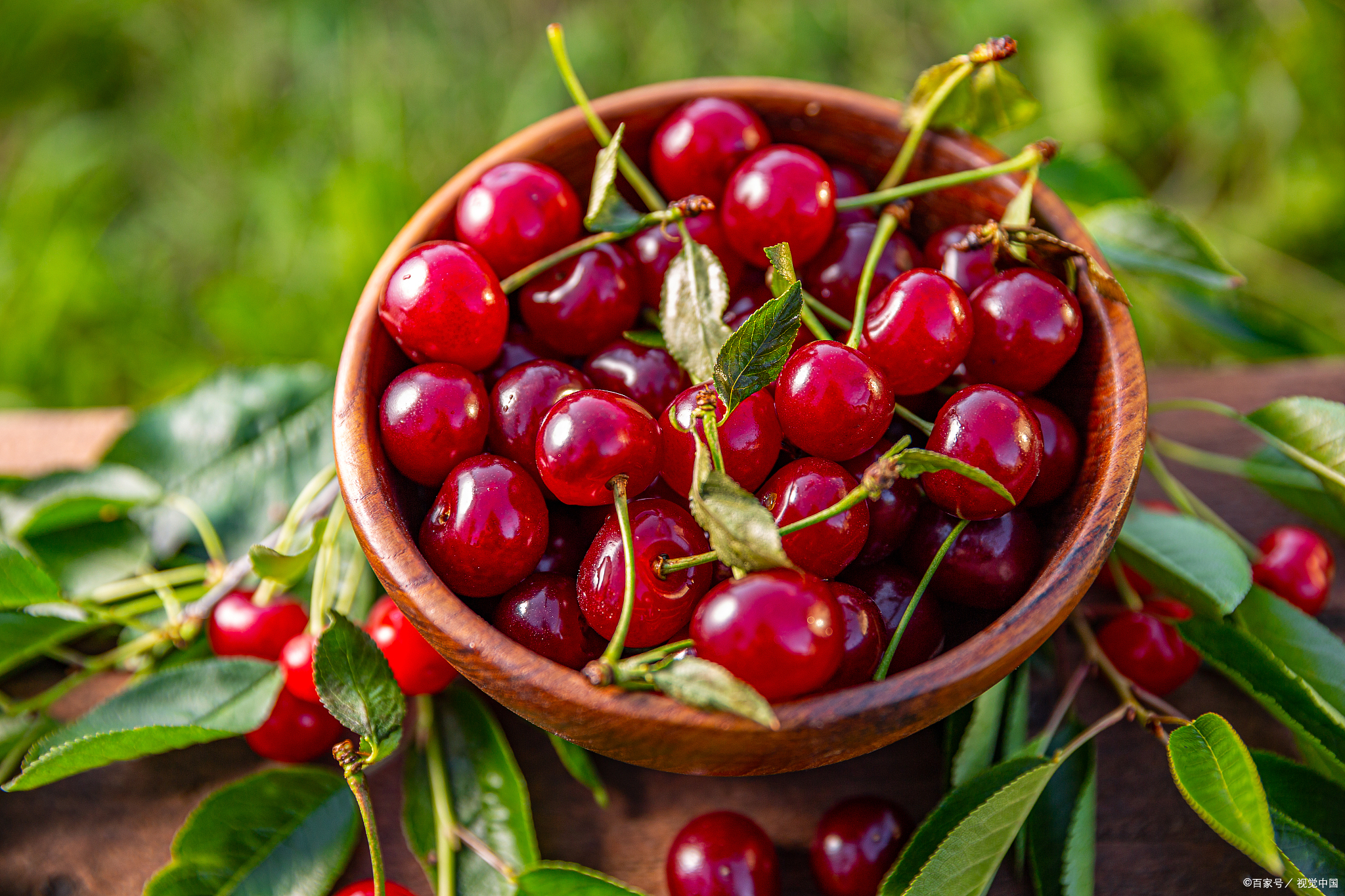 夏季水果排行榜:哪些水果美白效果最好?