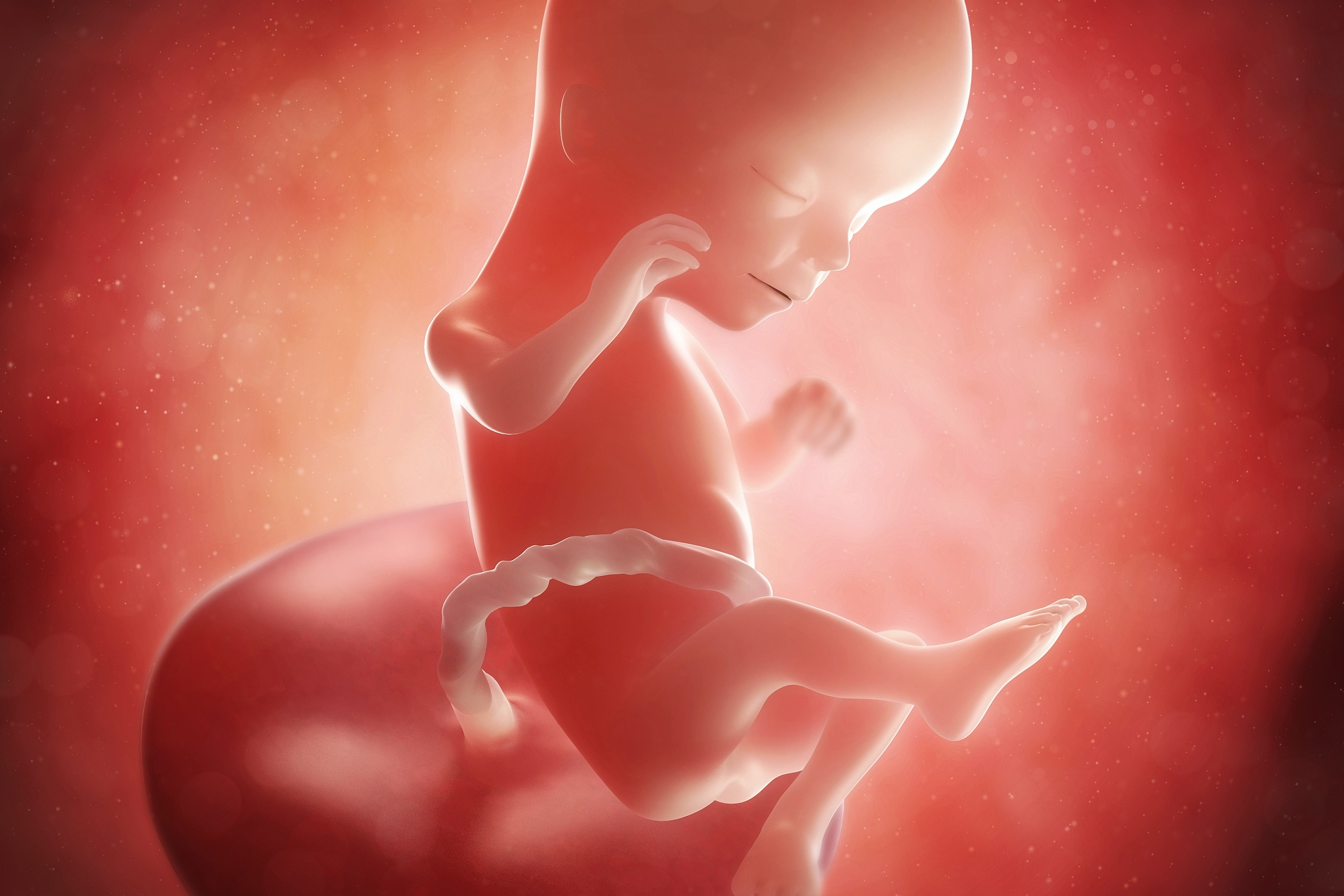 压岁三个月胎儿真实图片胎儿3个月的样子图片三个月胎儿什么样子图片