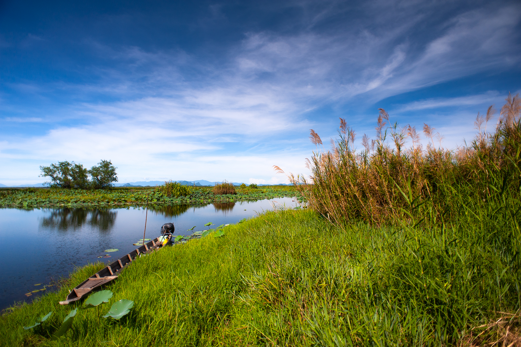 吉林市的松花江湿地公园,夏季的湿地风光有何亮点?