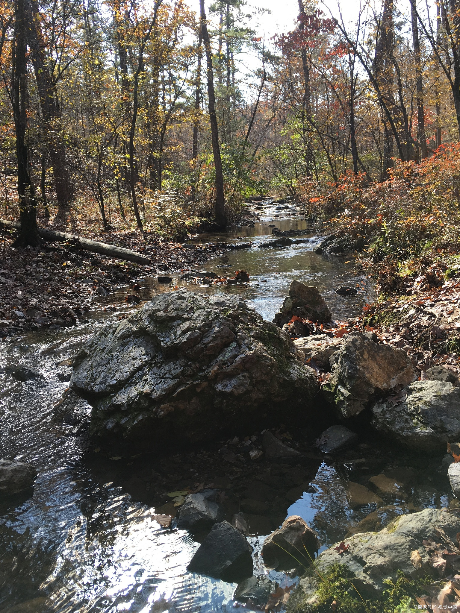 筐子沟原生态风景区地处抚顺市清原满族自治县,森林覆盖率高达%5%
