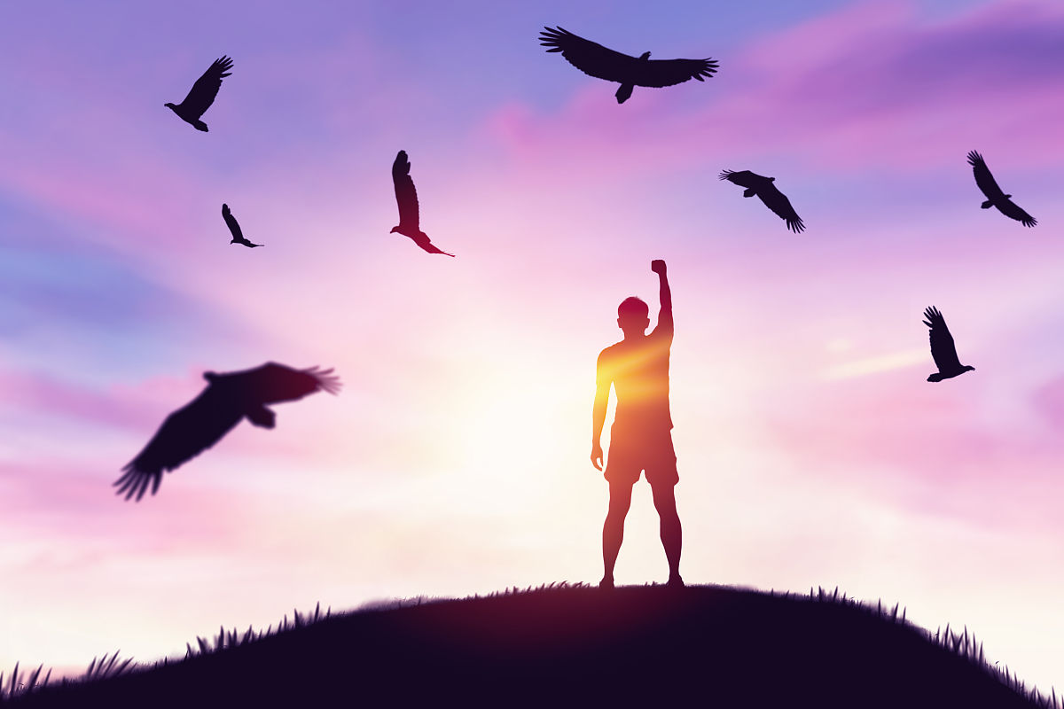 如果我有一双有力的翅膀,我也要梦想,在四季里寻找属于自己的花香