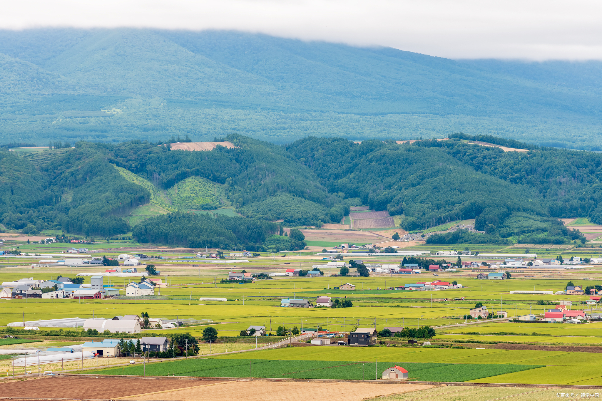 12首夏日田园诗词美得心旷神怡夏天的美美在田园的风光