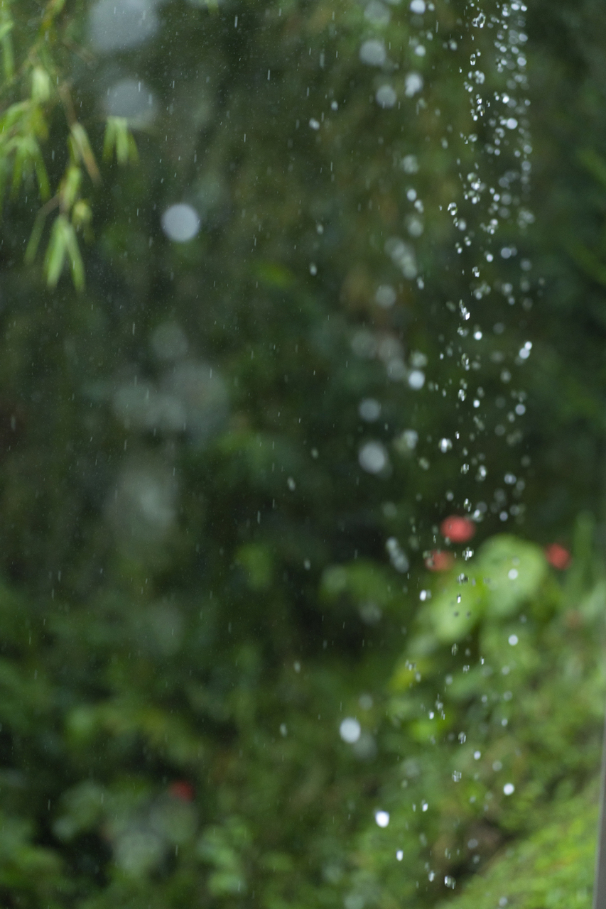 两三点雨山前图片