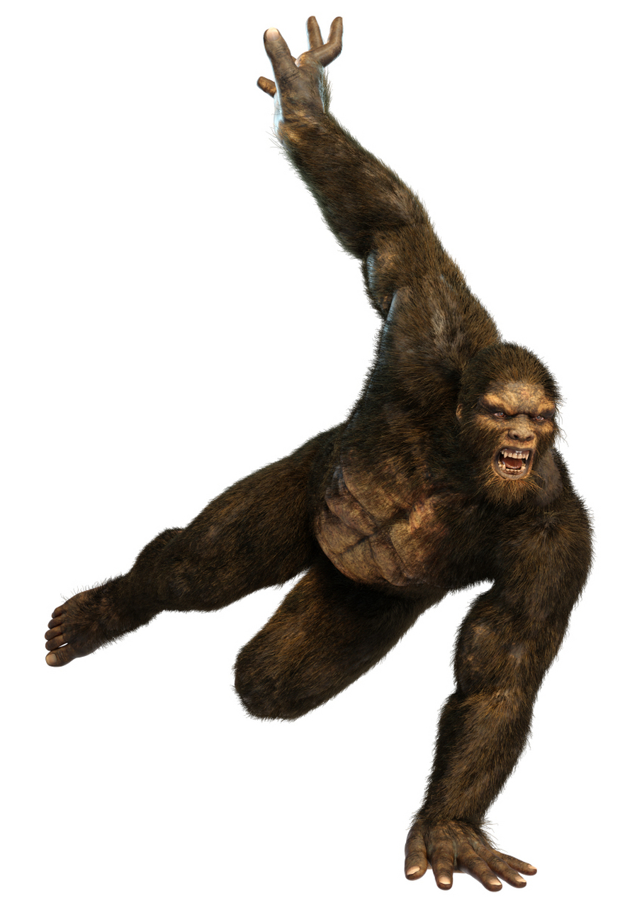 1000万年前,非洲出现了人类的祖先,森林古猿