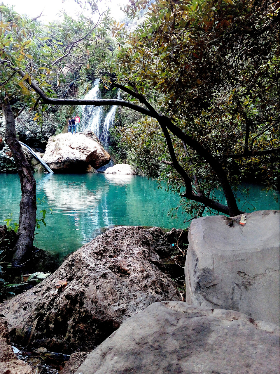 丽江观音峡:茶马古道上的峡谷诗篇  曾几何时,我在书中读到过丽江观音