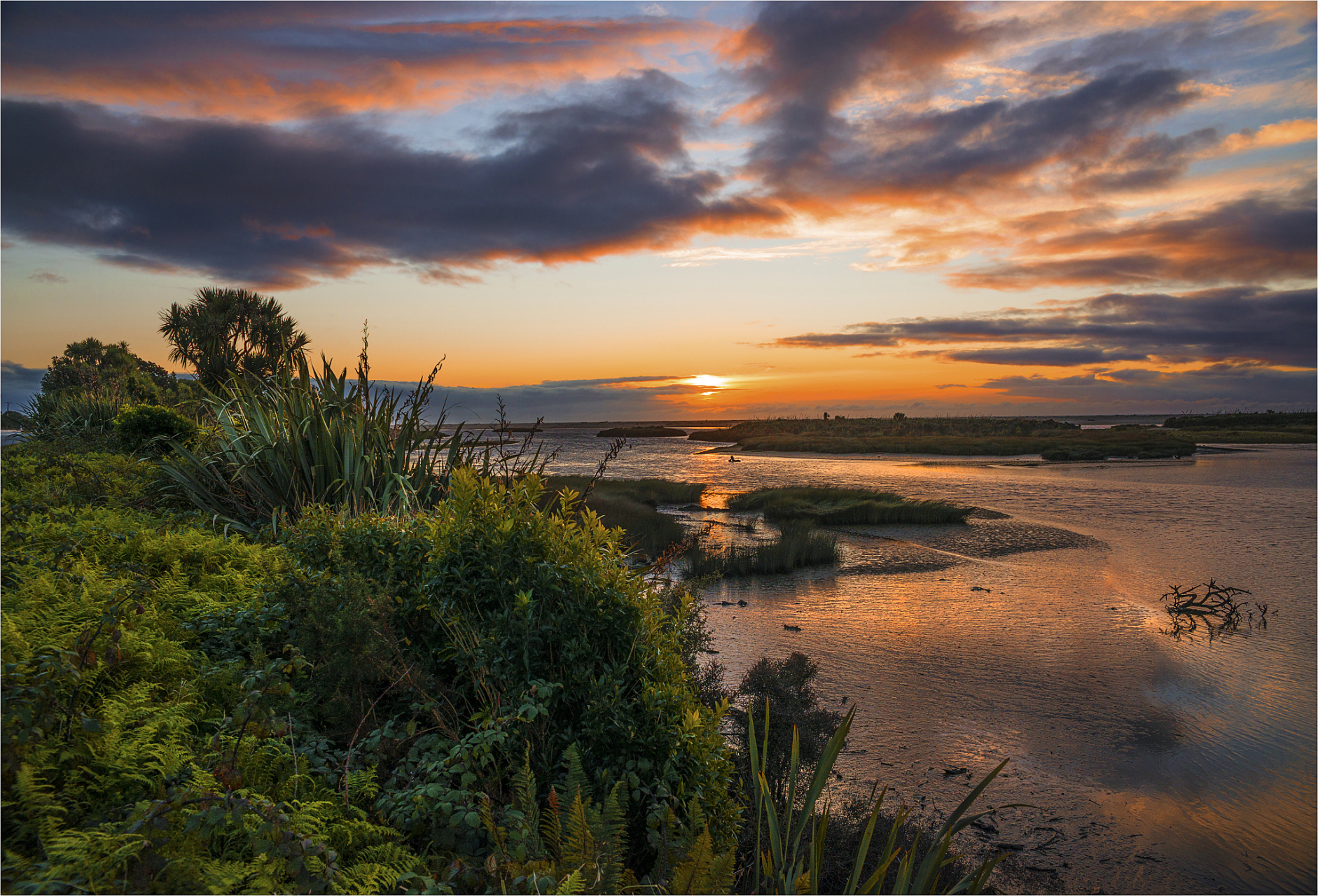 镜头里的春天# 春季旅游金海湾红树林除了天空和海水,落日的美景中