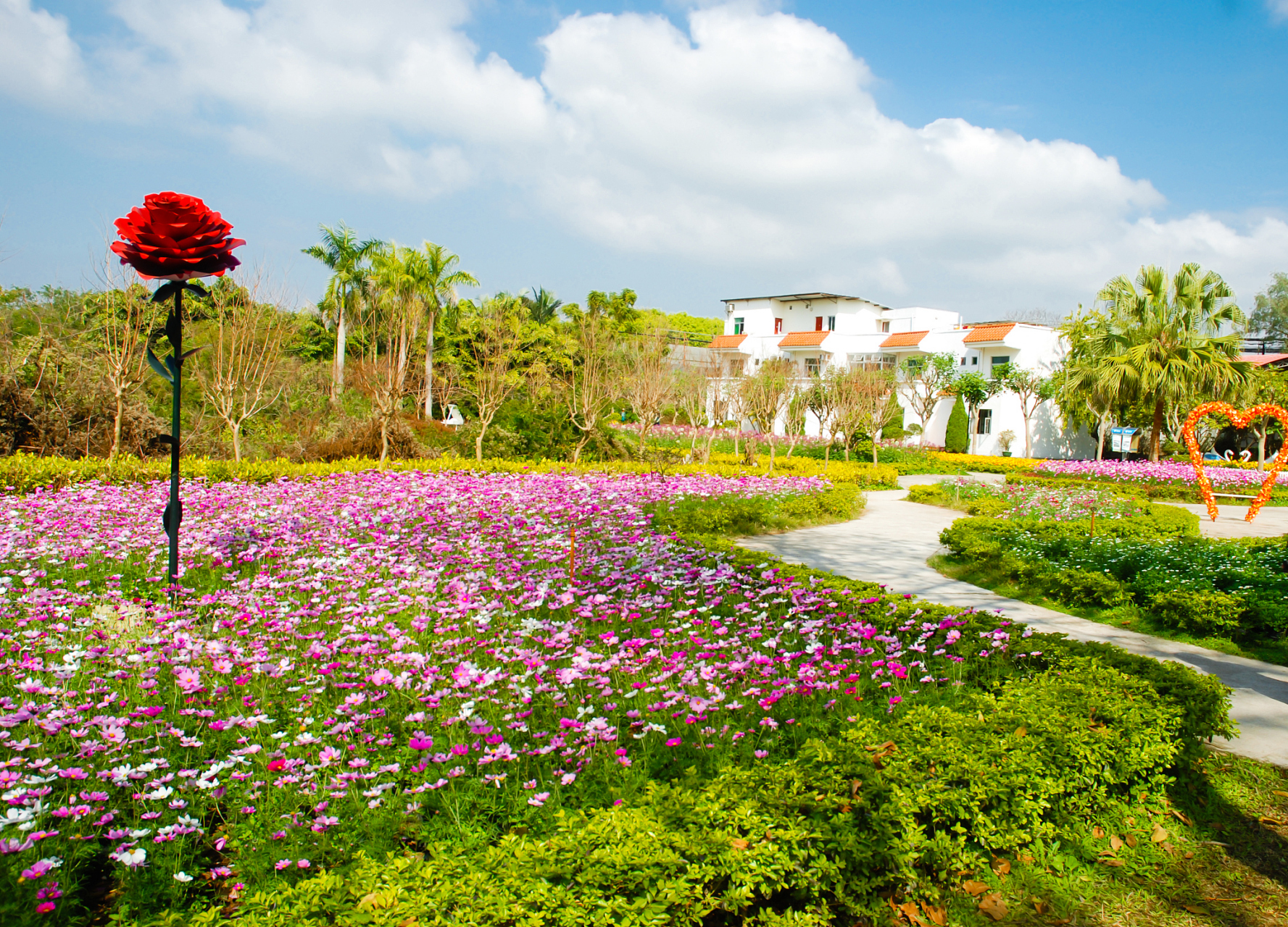 嬉行记# 三亚凤凰花海,源自中国美丽南方的三亚,是一片宛如仙境的