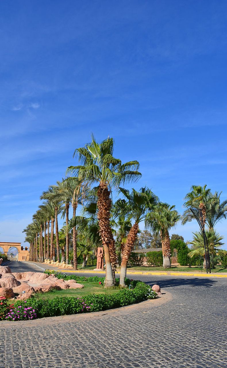 东郊椰林是海南文昌市以椰树为主题的旅游景区,拥有广袤的椰林和美丽