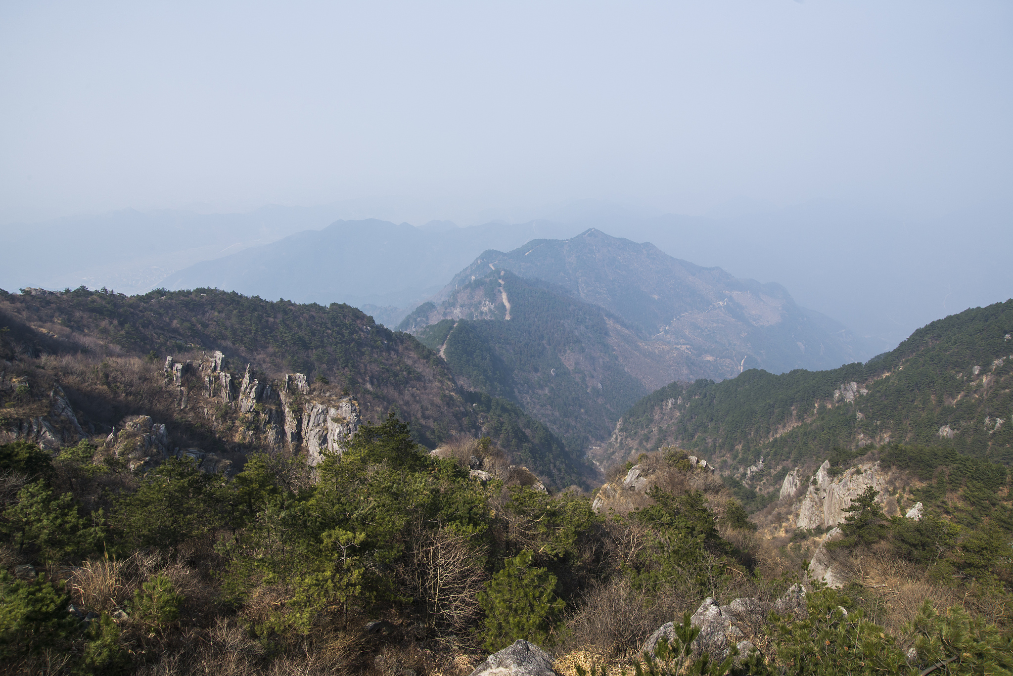 辽东松山图片