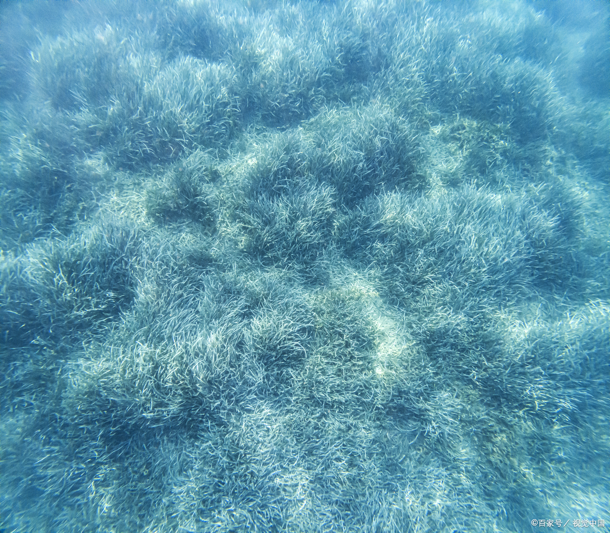 作为一名在中医科摸爬滚打多年的"老中医",我今天