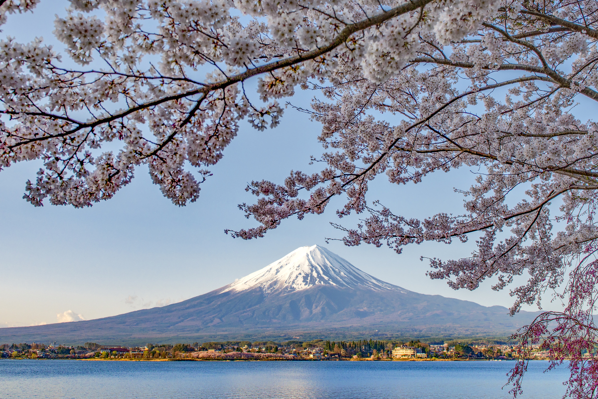 五一假期日本旅游体验   五一假期,日本的街头巷尾是否如你所想,樱花