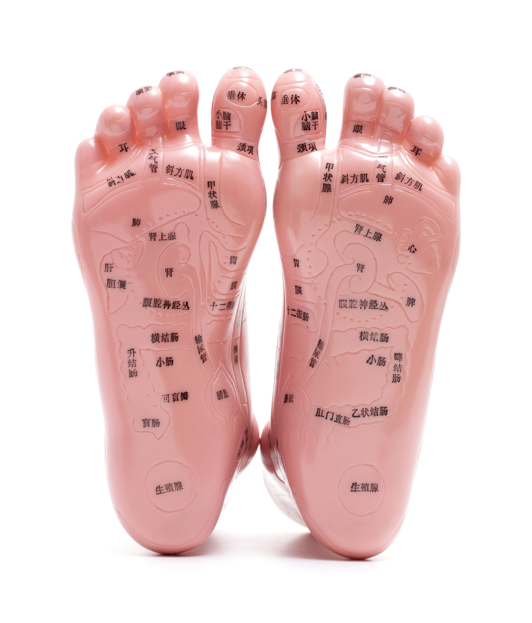 脚是人体的第二心脏,经络和穴位多,当体内器官或腺体异常时,足部反射