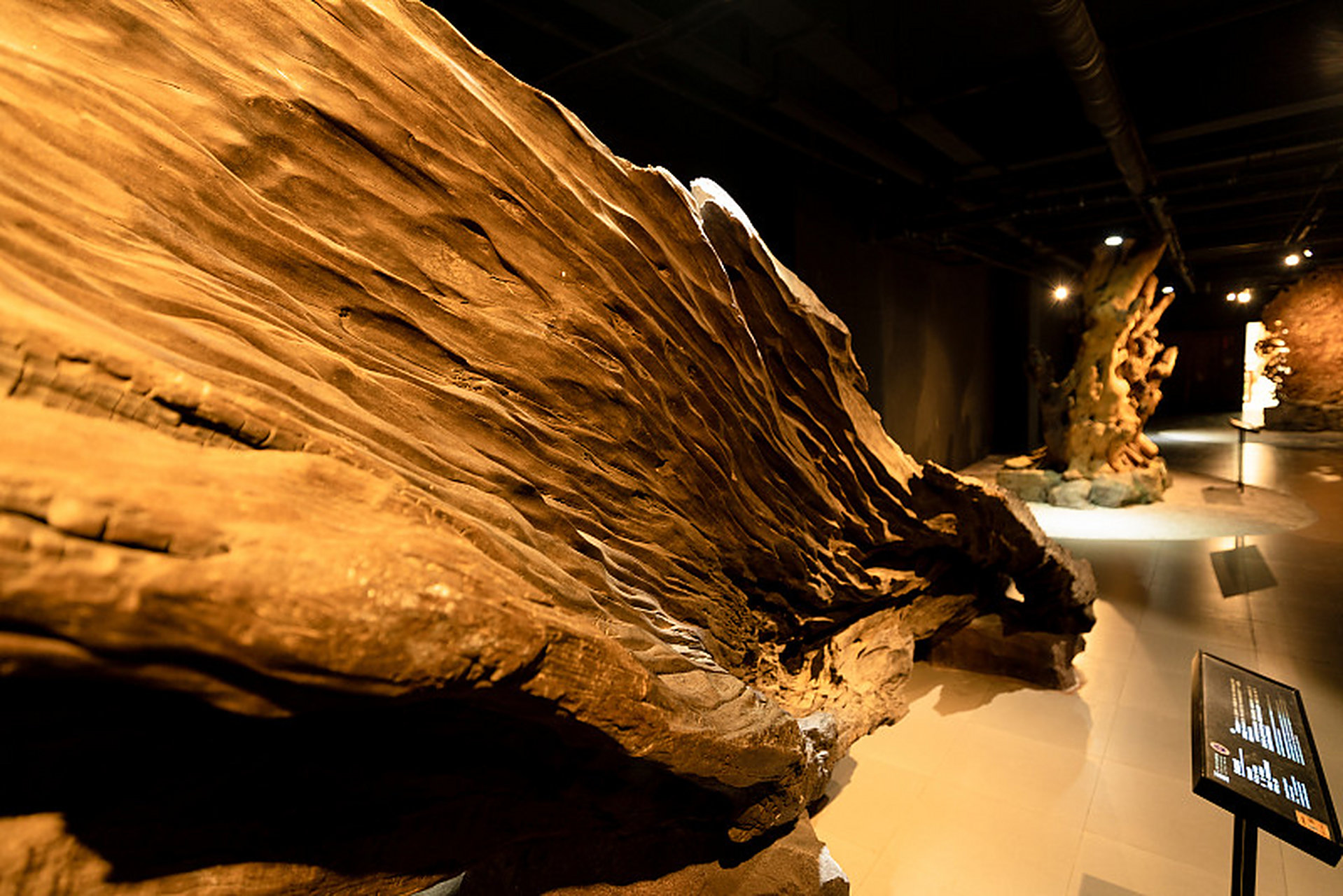 四川乌木博物馆(亦称作成都乌木艺术博物馆),位于成都都江堰市青城