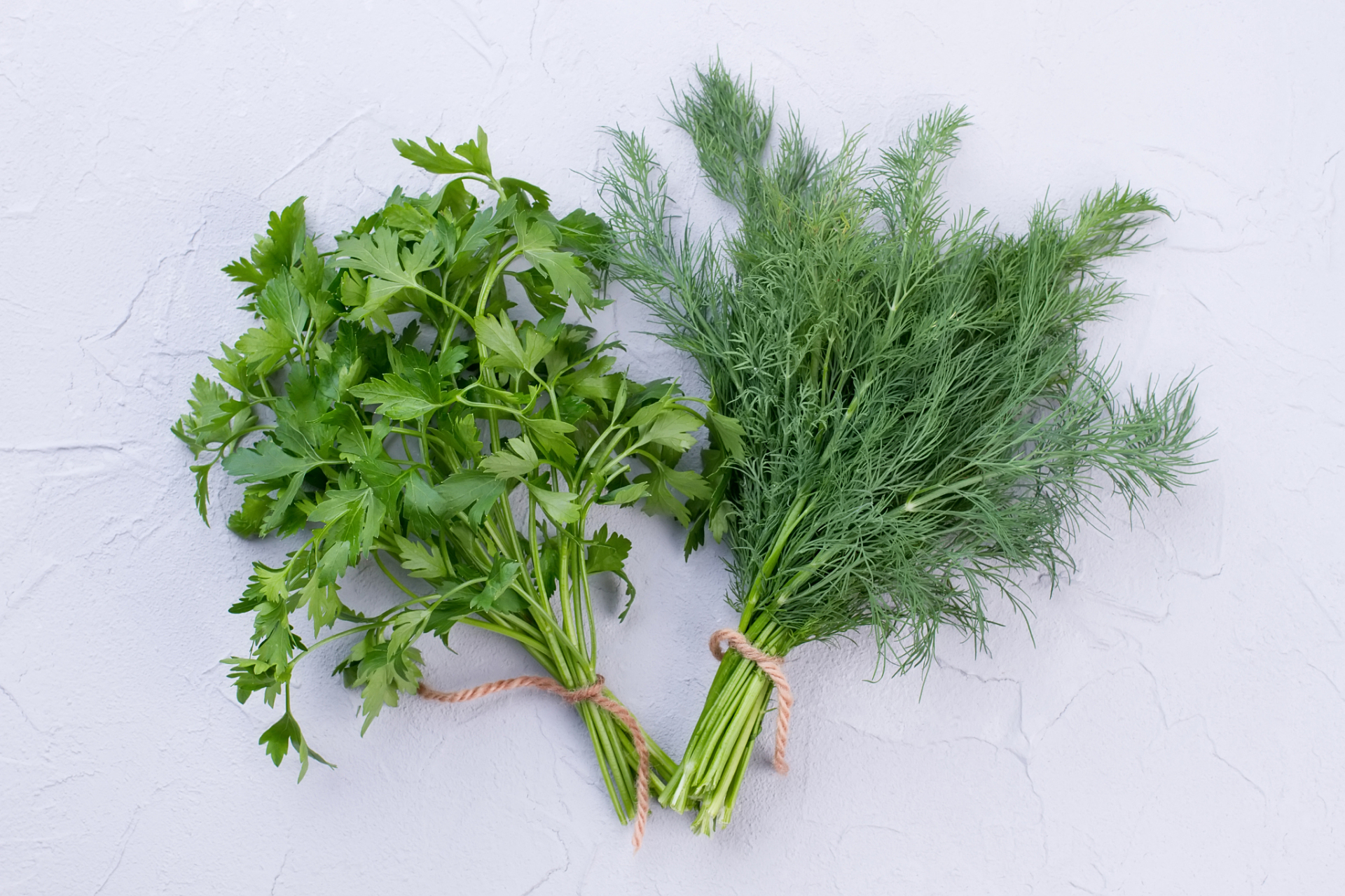 蒿苔菜的作用与功效	蒿苔菜是一种常见的野菜,含有多种营养成分,一般