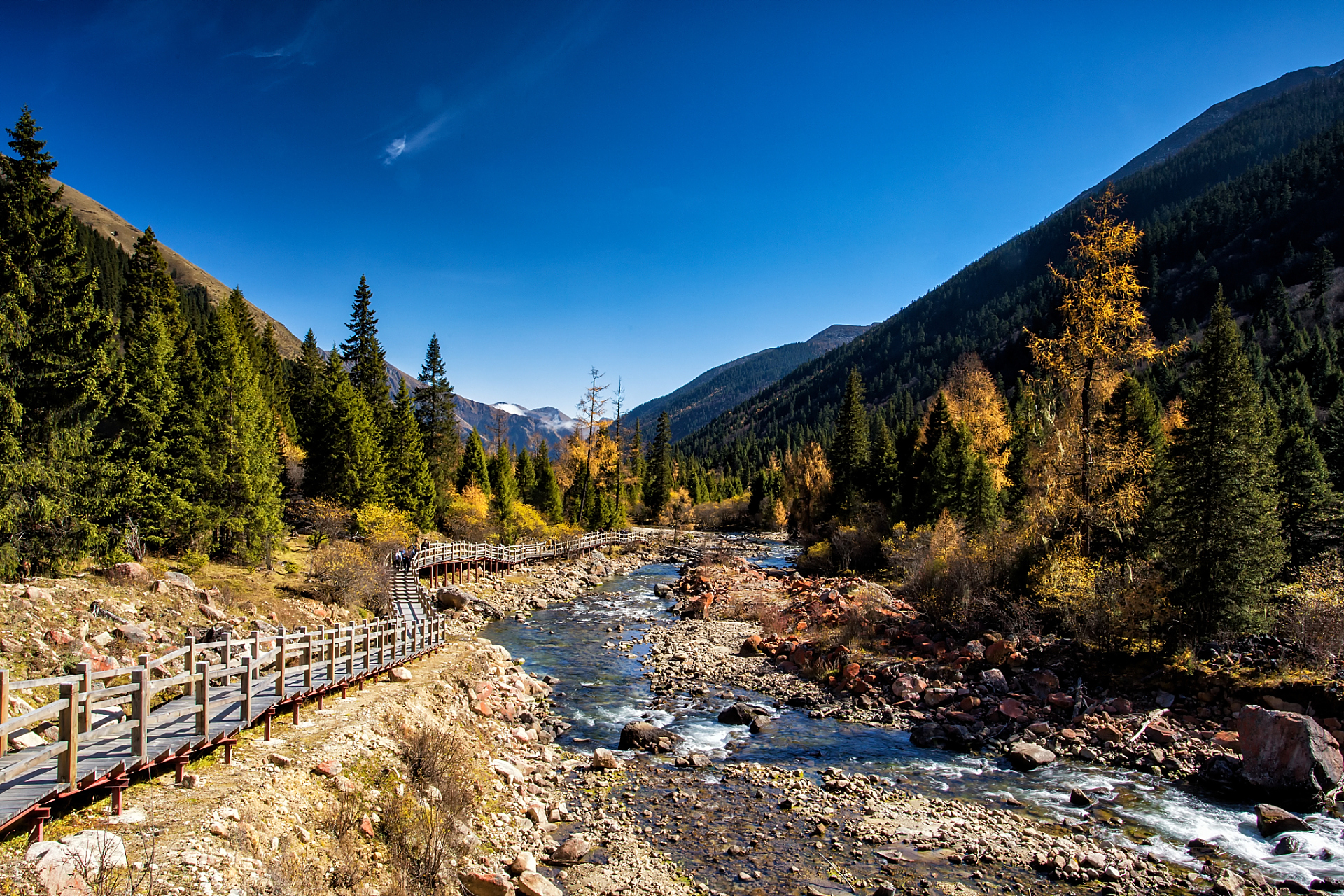 动态优创月#勒布沟位于中国西藏山南错那县境内康格尔多山南侧,是一