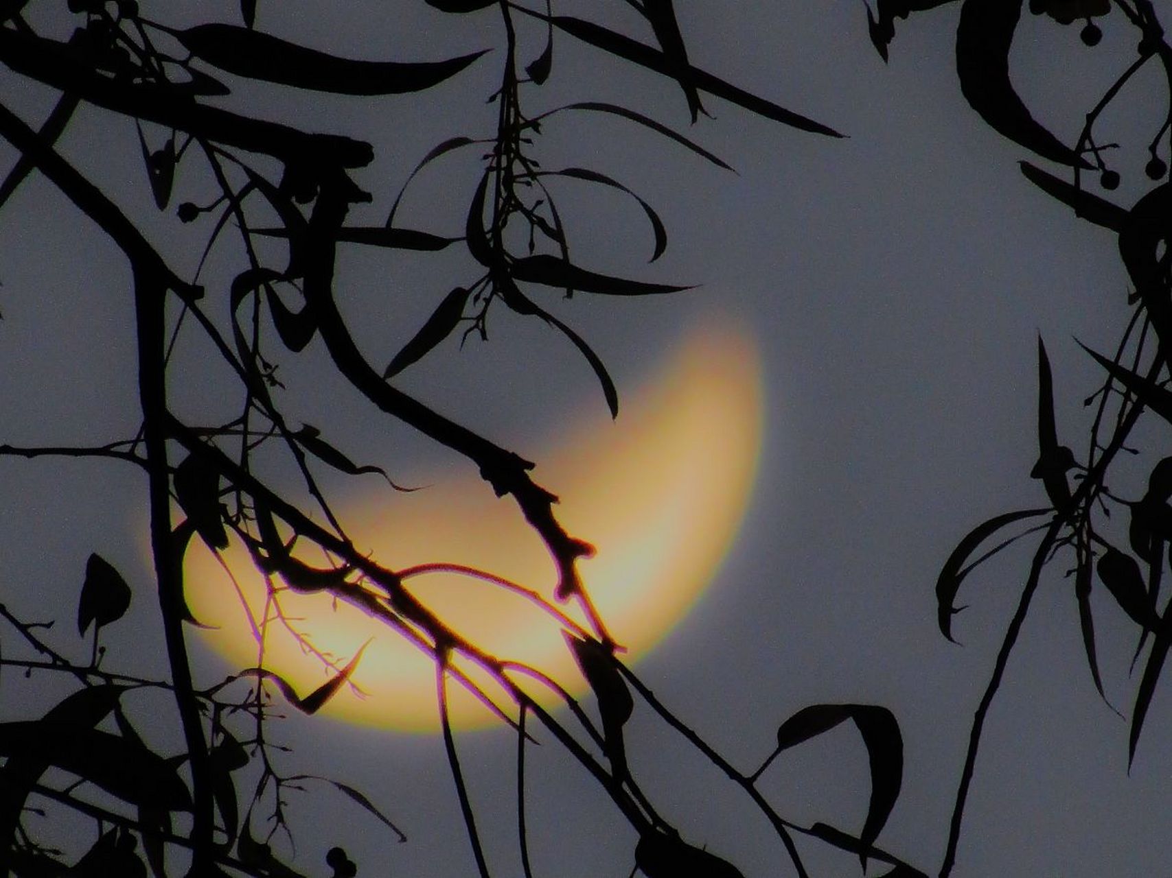 "厚脸皮"在很多人的认知里是贬义词,谁都不愿意被