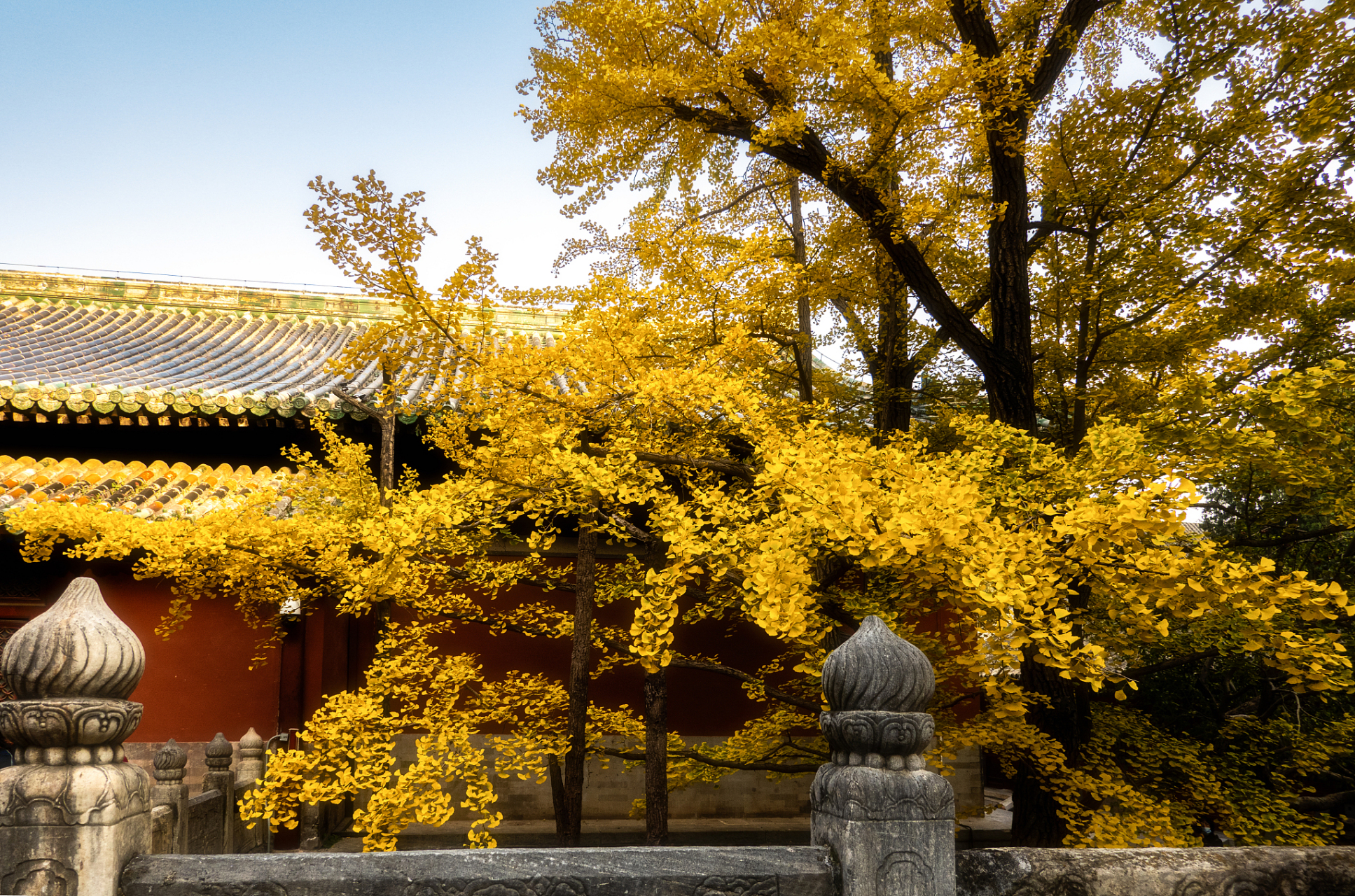 这一站就出发#  【长安护国兴教寺塔】位于西安城南约20公里处少猎