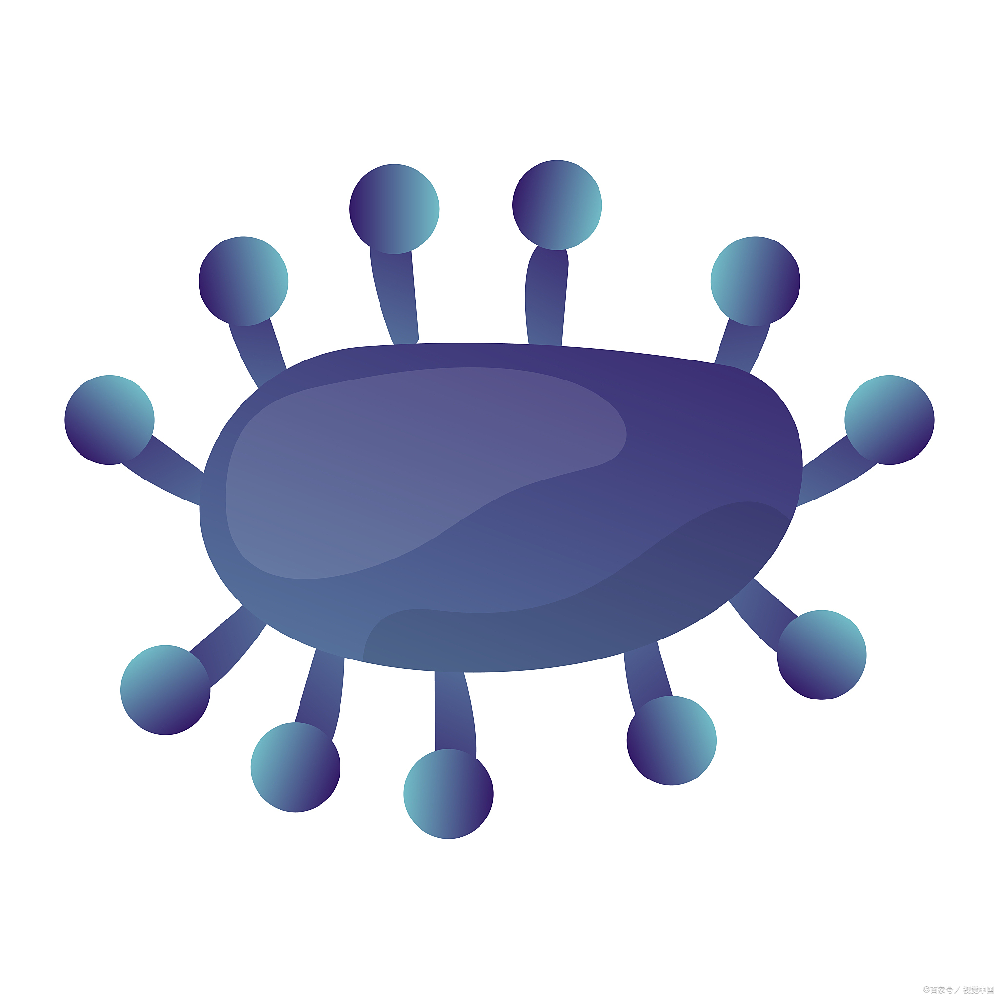 诺如病毒是一种常见的无包膜单股正链rna病毒,属于杯状病毒科