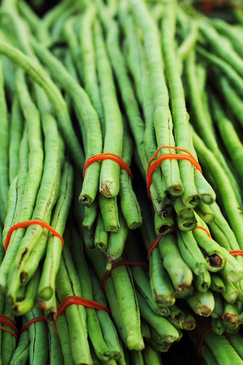 2,豇豆脂肪含量虽然不高,但是质量很好.