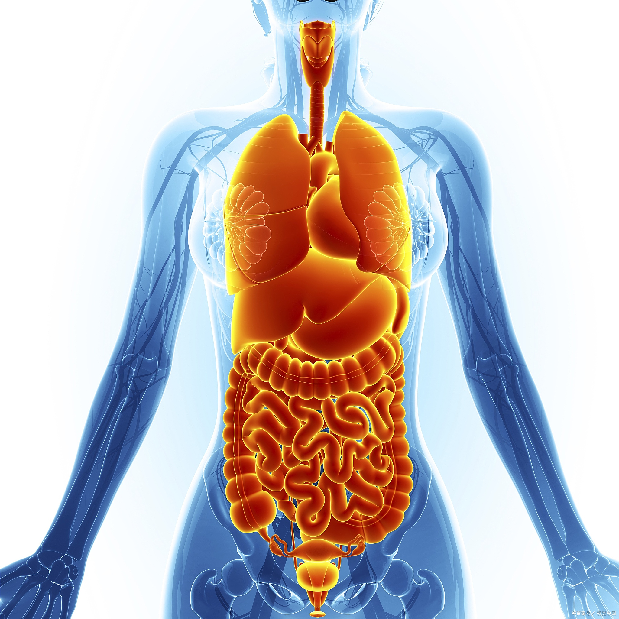 当五脏的功能逐渐衰弱时,会表现出各自特定的信号或