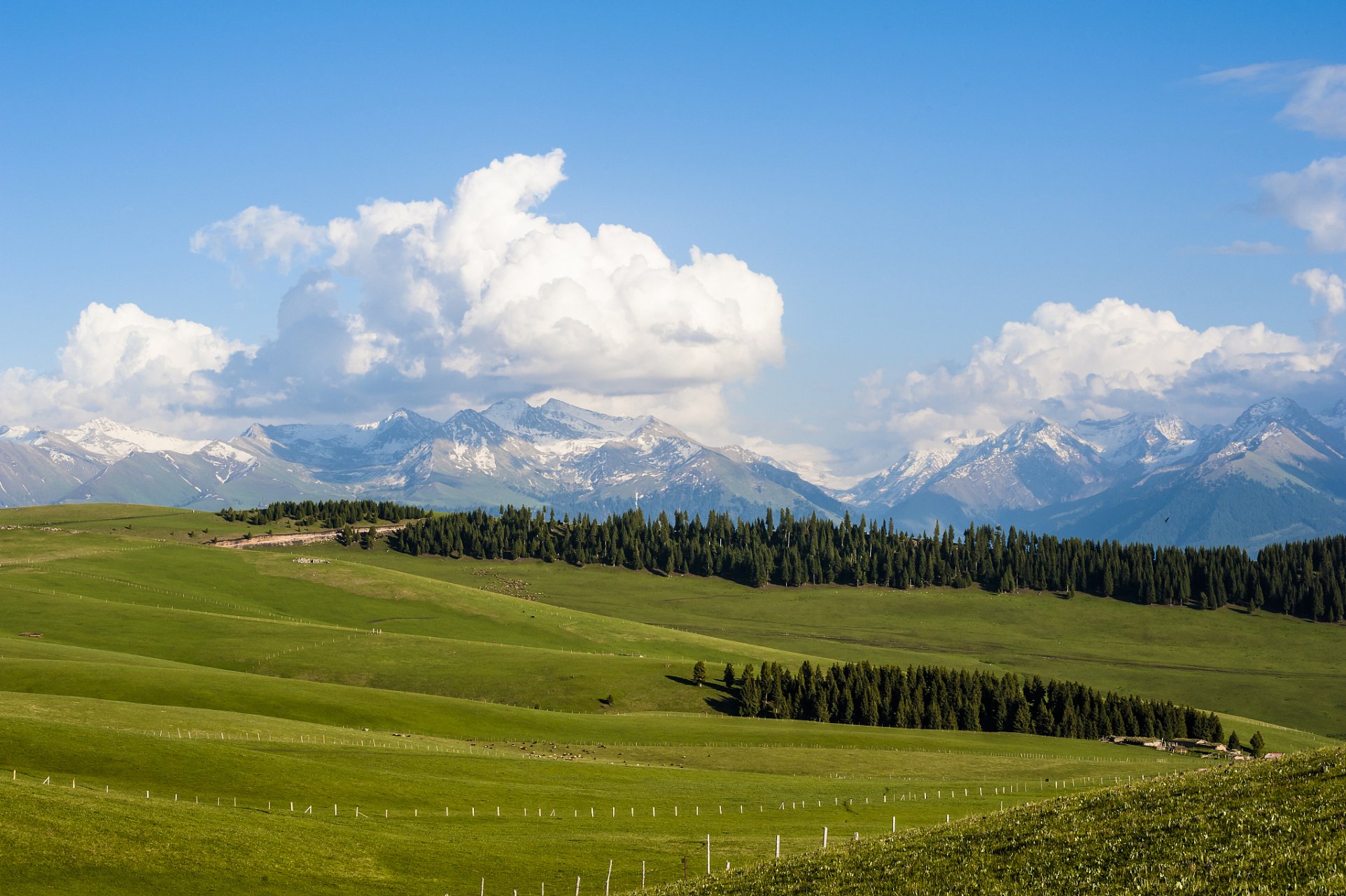 奇遇那拉提#天界台是新疆那拉提的一座高山,它海拔约为4217米,是当地