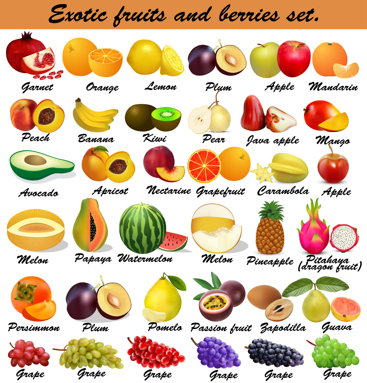 各种各样的水果英语图片