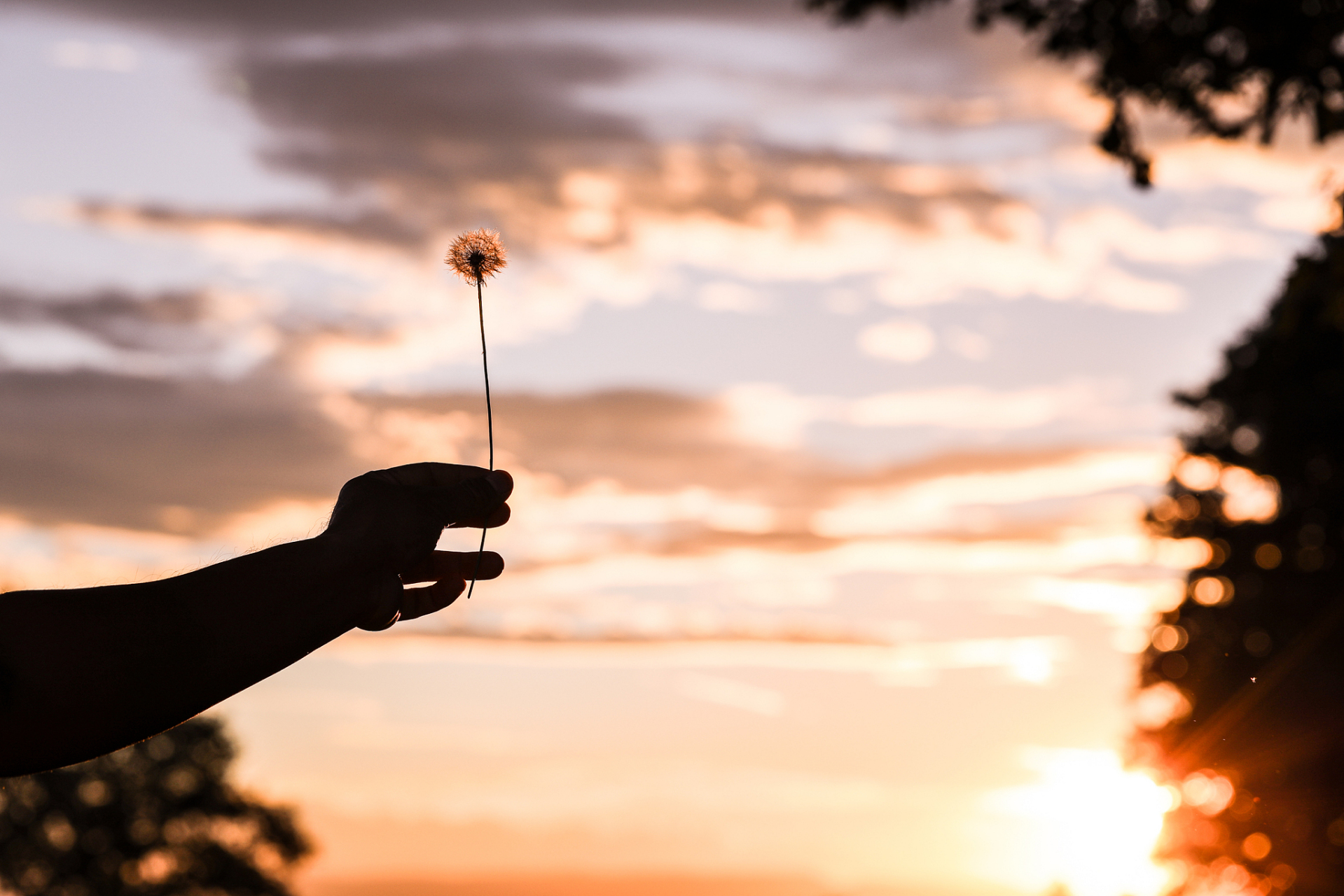 内心的炫耀  一个干净的人并不是指他不接触世俗,不染指人间烟火,而是