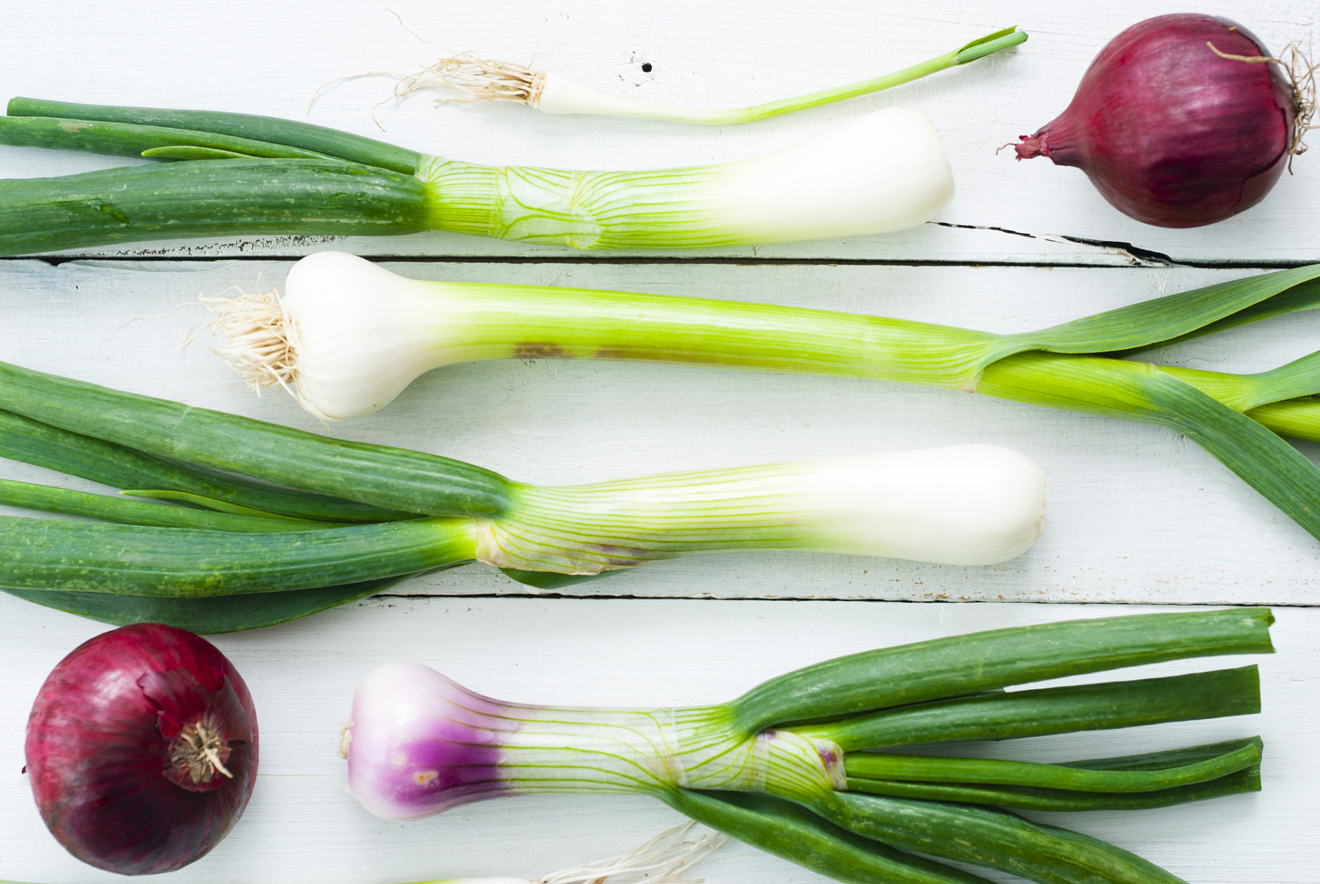 洋葱,这颗平凡的蔬菜,常在我们的餐桌上占据一席之地.