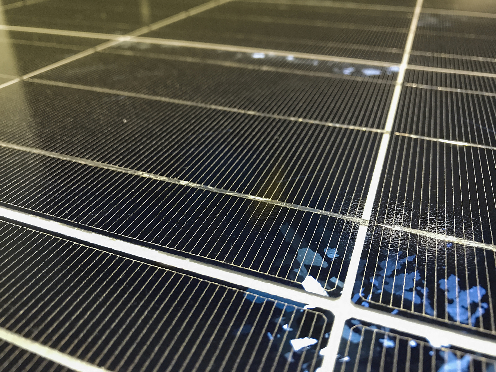 中国制造的威力:日本发明钙钛矿光伏电池 量产却遭中国垄断  7国集团