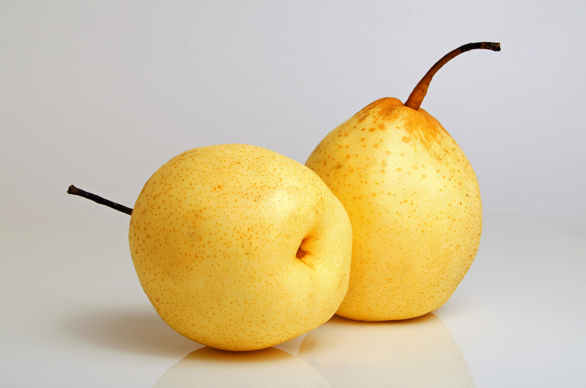 梨分雌雄,选梨的技巧  梨也分雌雄:一种是"雄梨",肉质粗硬,水分较少