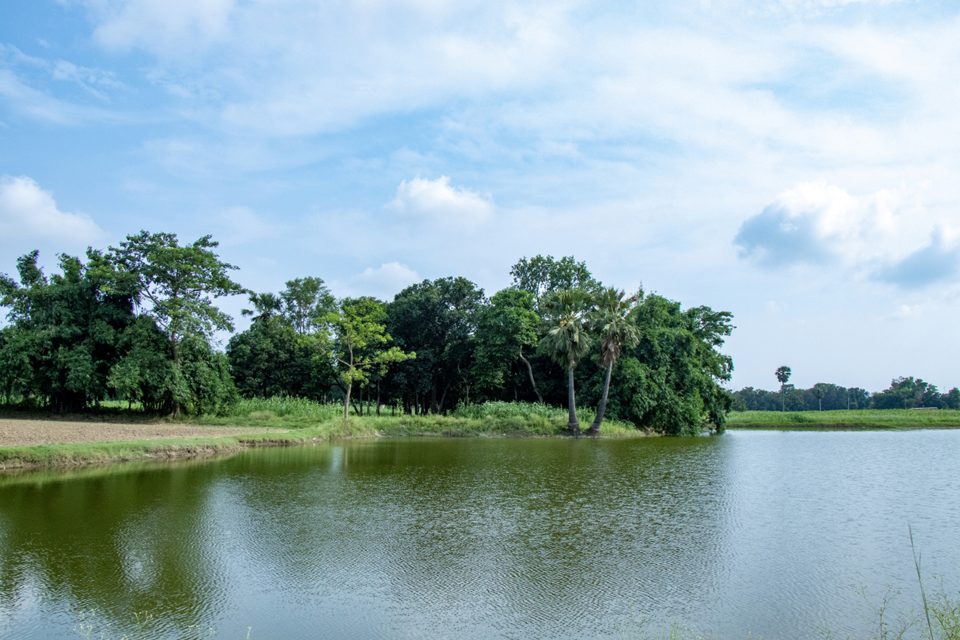广东东莞一日游必去之地包括松山湖风景区,鸦片战争博物馆,广东观音山