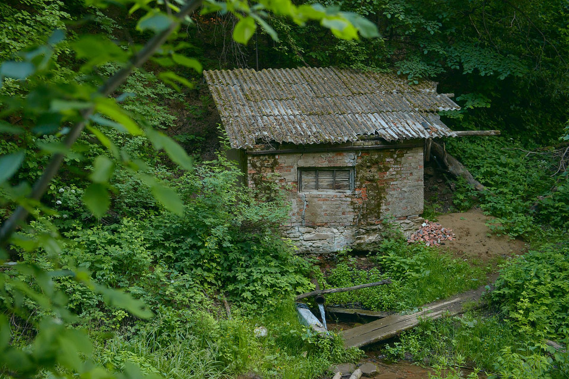 山里隐居图片