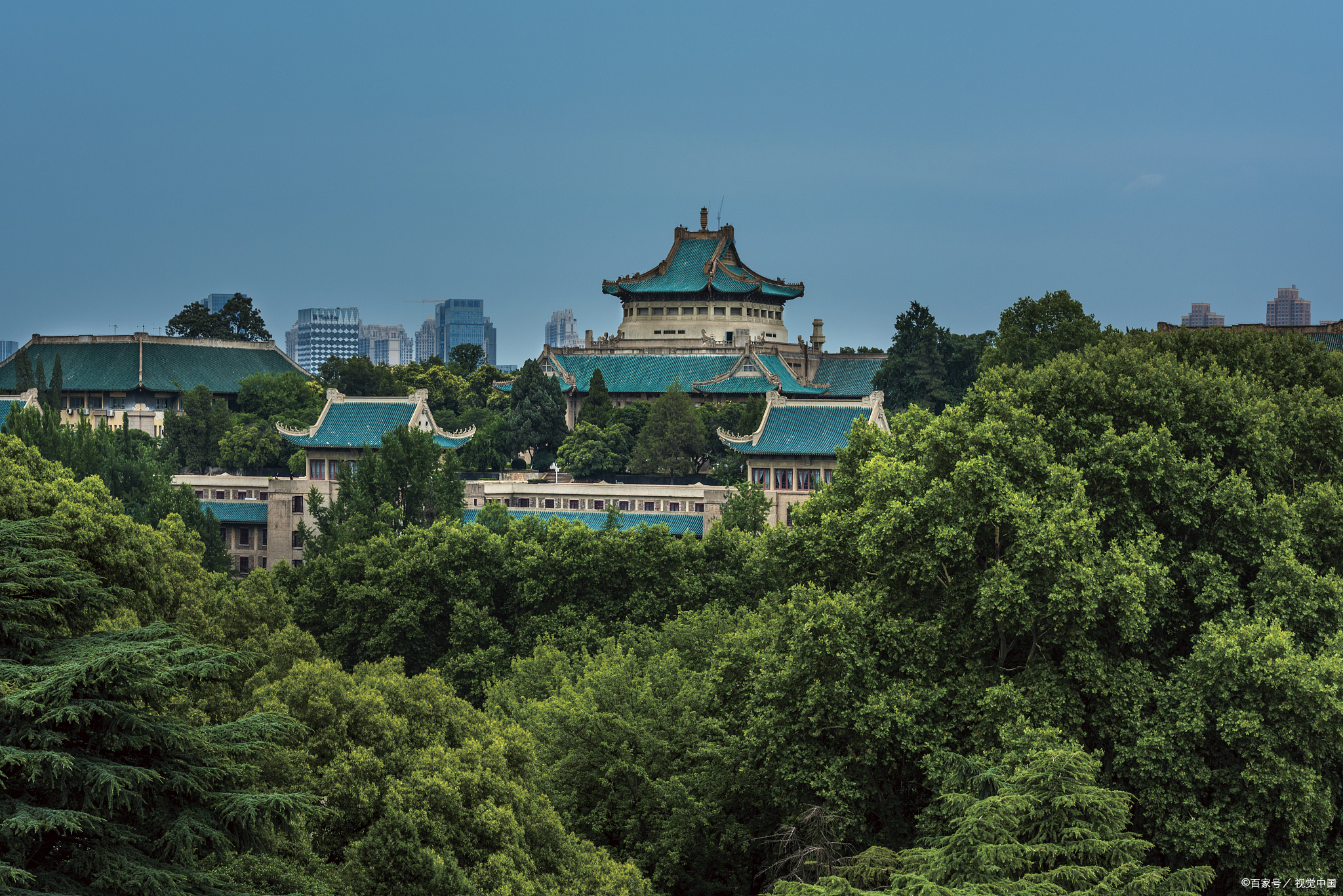 武汉大学牛不牛?