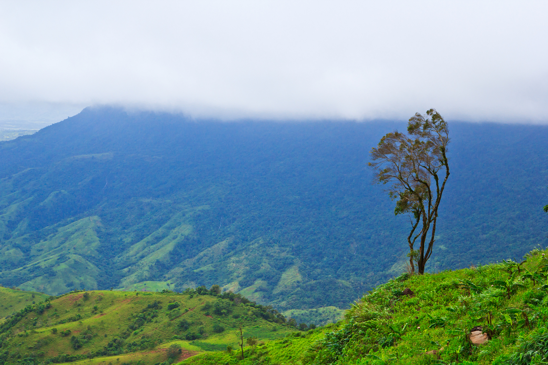 除了令人叹为观止的自然美景外,阿里山山林区内还有许多著名的景点,让
