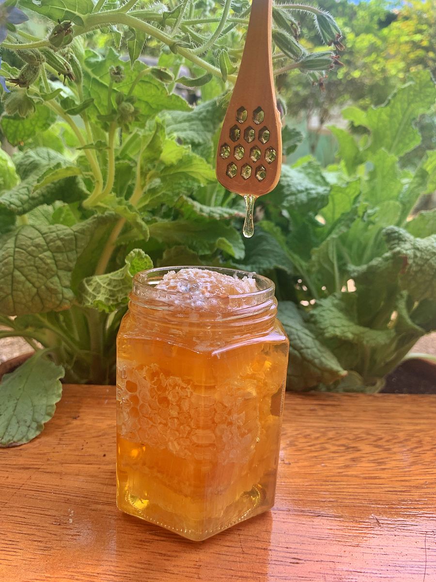 土蜂蜜为啥会结晶(土蜂蜜为啥会结晶呢)