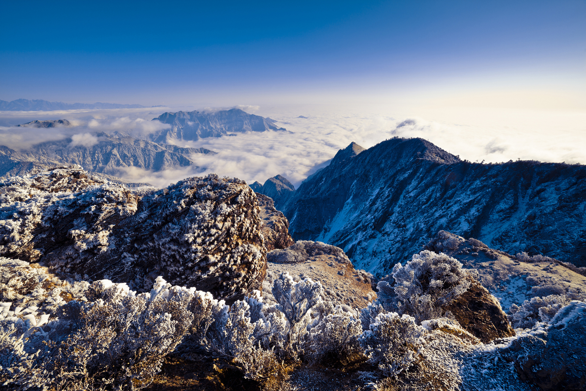 仲夏消暑季#四川的避暑胜地首选——西岭雪山!