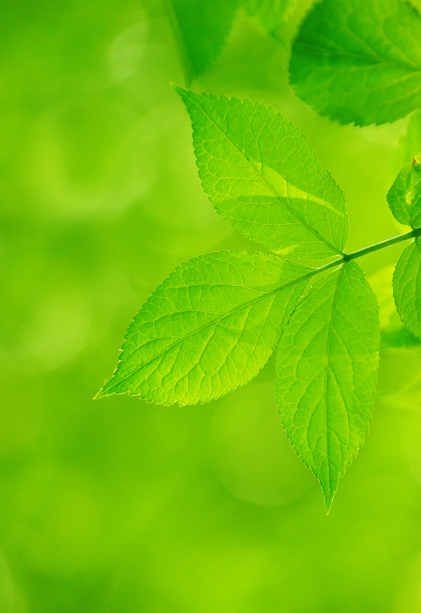 国庆长假护眼全攻略:科学用眼,告别视疲劳