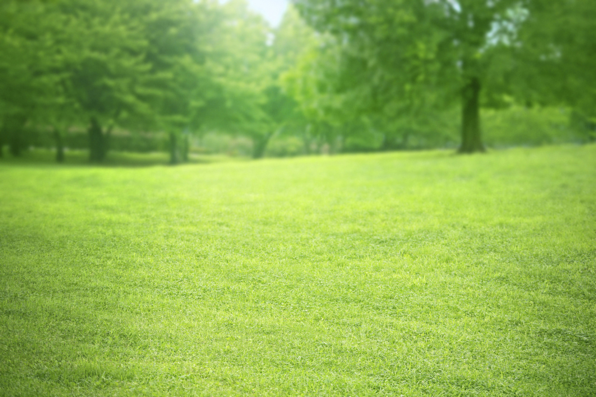 今天的股市真的是让人无语啊!