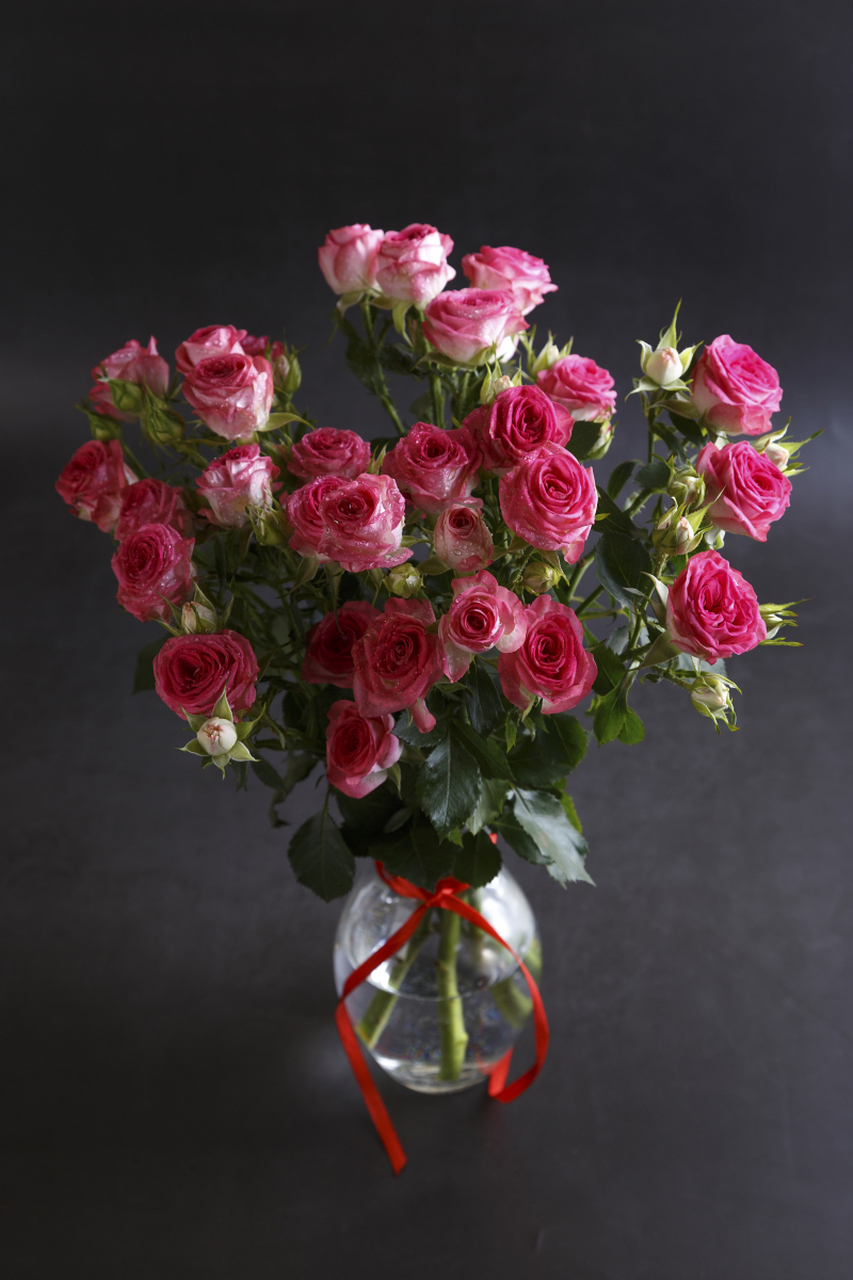 洋牡丹和洋桔梗是两种具有独特魅力的花卉.