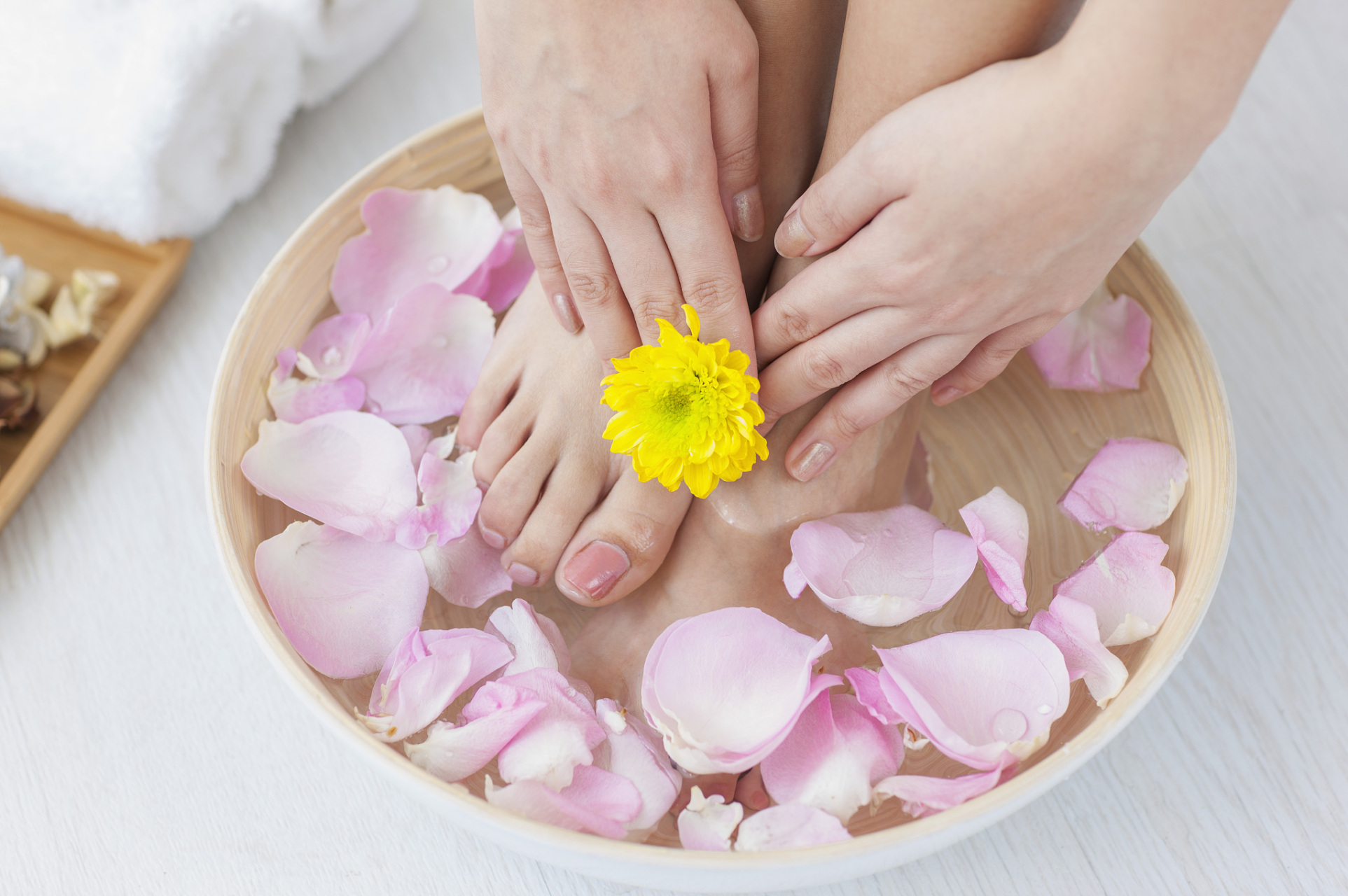 健康养生每日养经络 老中医教你经络养生要点,背熟受