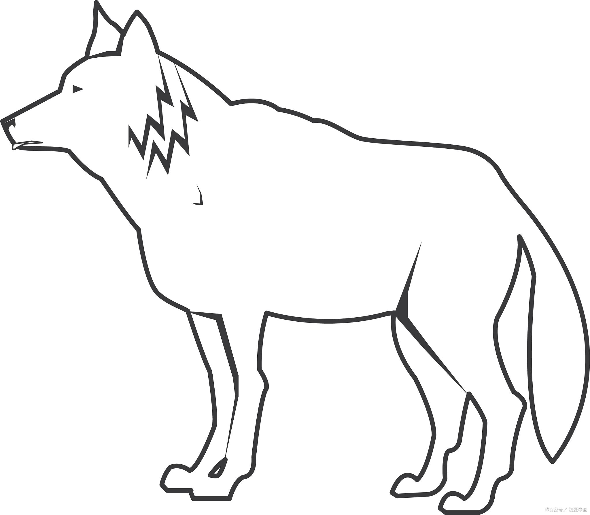 狼的简笔画绘制步骤解析