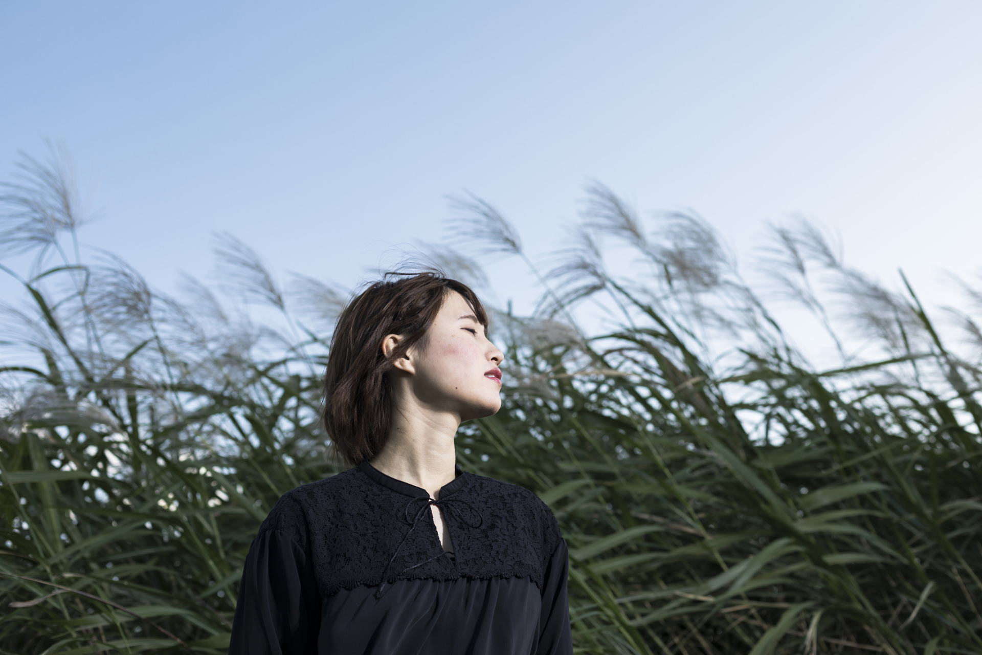 微风习习,吹拂着夏日的阳光,它轻轻地拂过我的脸庞.