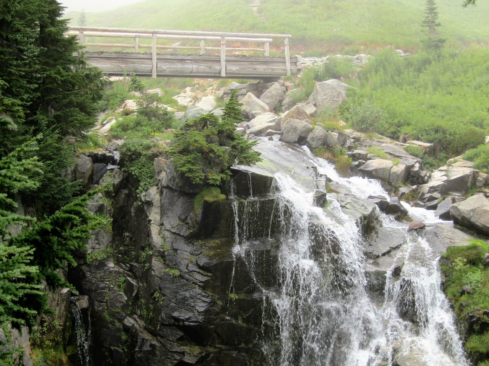 心定西再出发#定西渭河源景区位于甘肃定西市岷县,是一处自然景购和