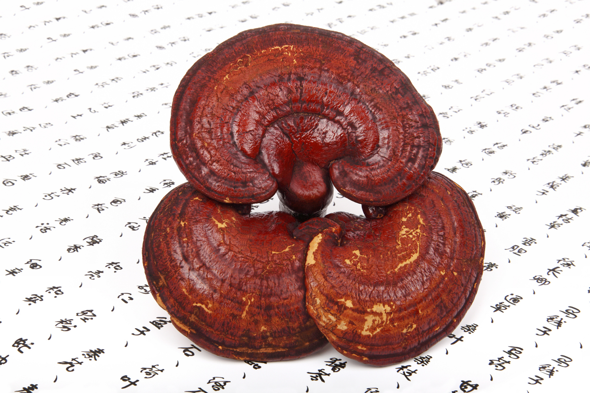 灵芝:固本祛邪,神仙草 灵芝是一种中药材,具有固本