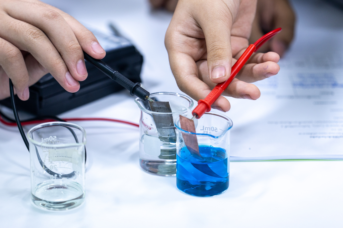 Semaglutide uses | Shaanxi BLOOM Tech Co., Ltd