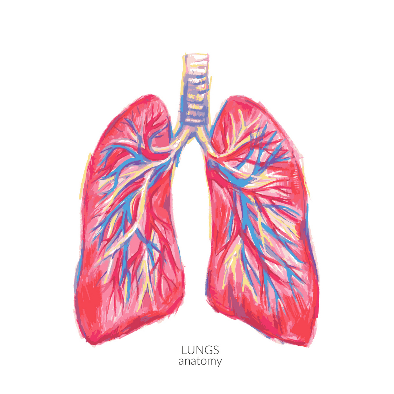 解密肺部 ct 报告:关键信息全掌握  身为一名中医呼