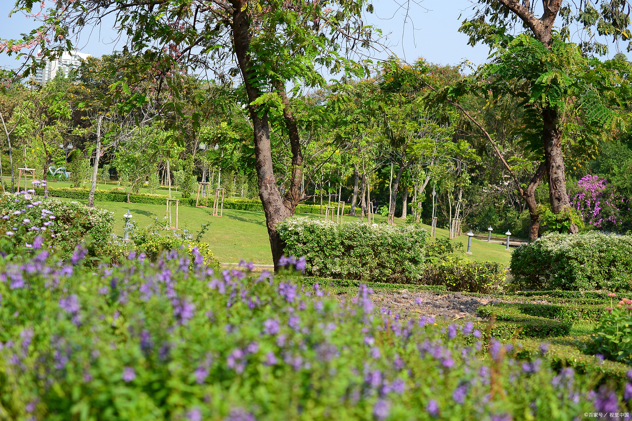 在这个生机勃勃的季节里,长春植物园成为了人们探寻自然奥秘的理想之