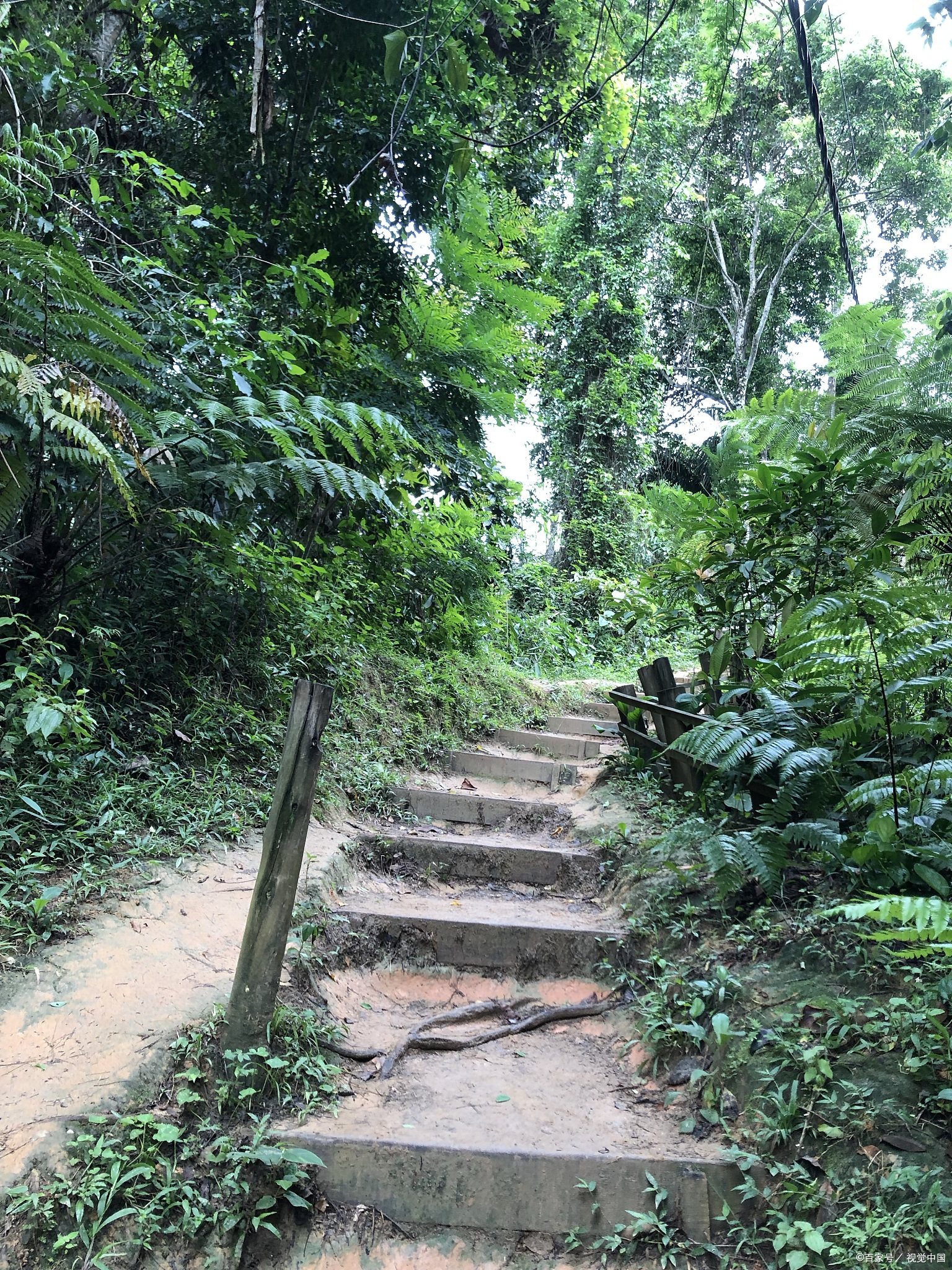 广州十大徒步爬山好去处,看看你去过几个?